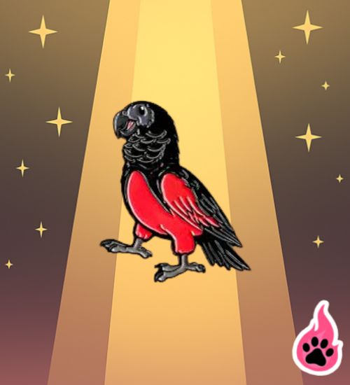 Dracula Parrot