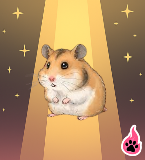Hamster