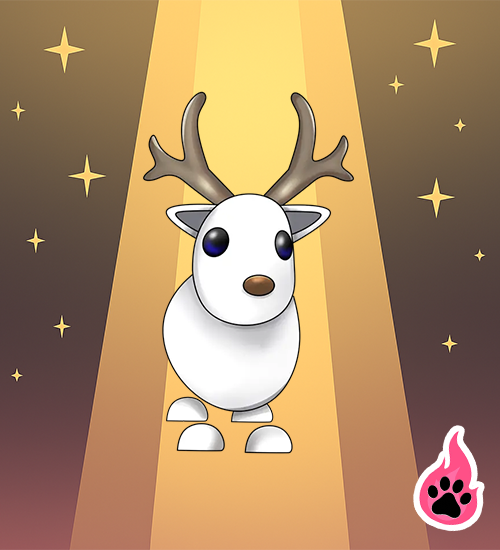 Arctic Reindeer