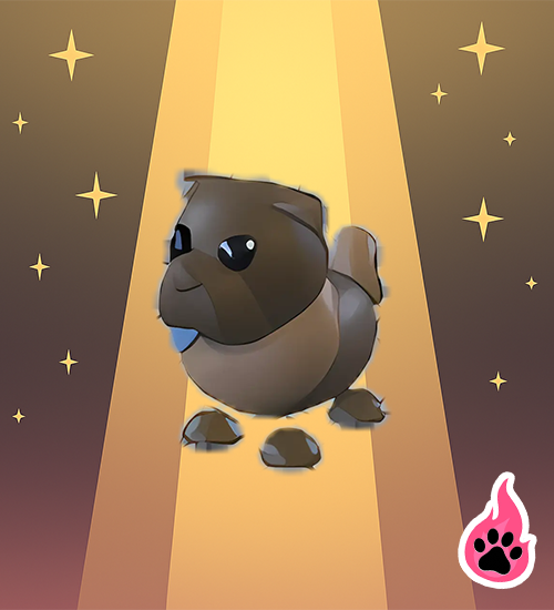 Chocolate Chow Chow