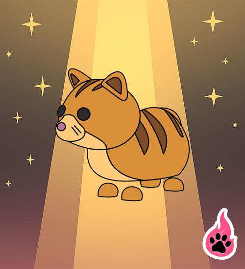 Ginger Cat