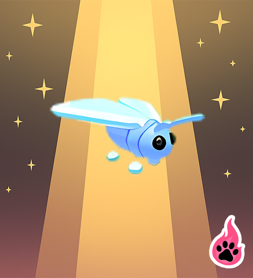Glacier Moth