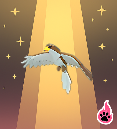 Hawk
