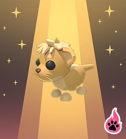 Lion Cub