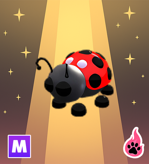 Mega Ladybug