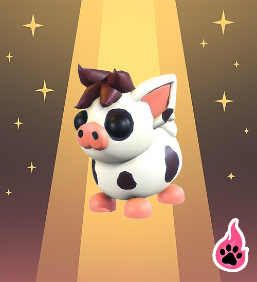 Mini Pig