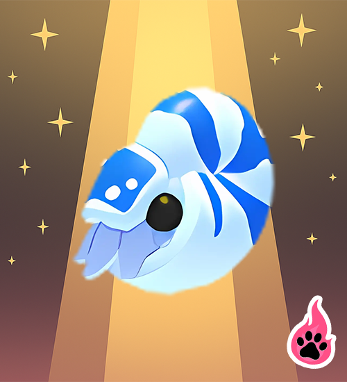 Nautilus