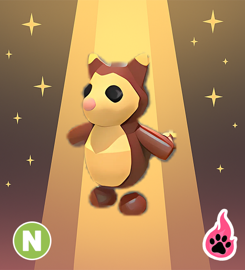 Tree Kangaroo