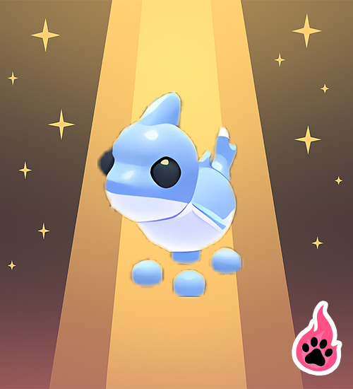 Shark Puppy
