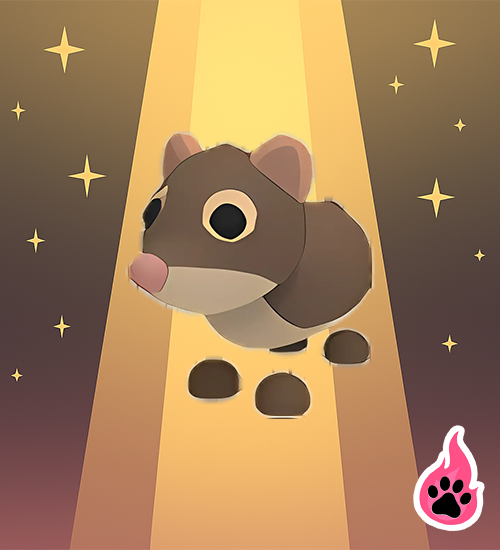 Shrew