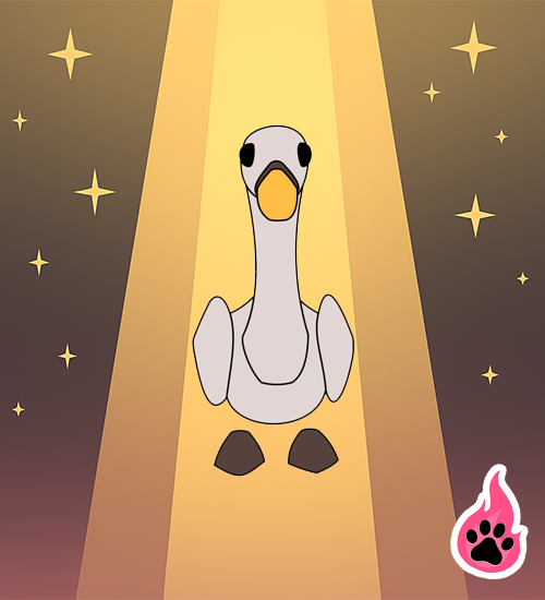 Swan