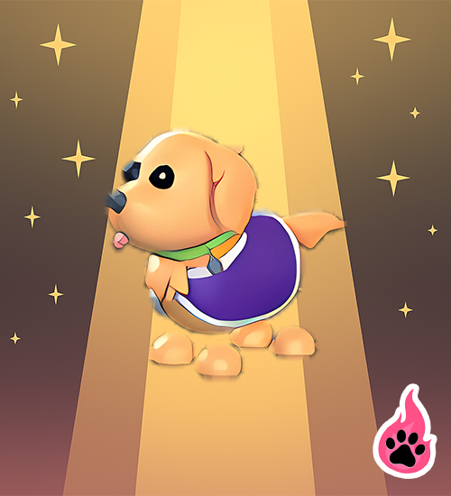 Therapy Dog