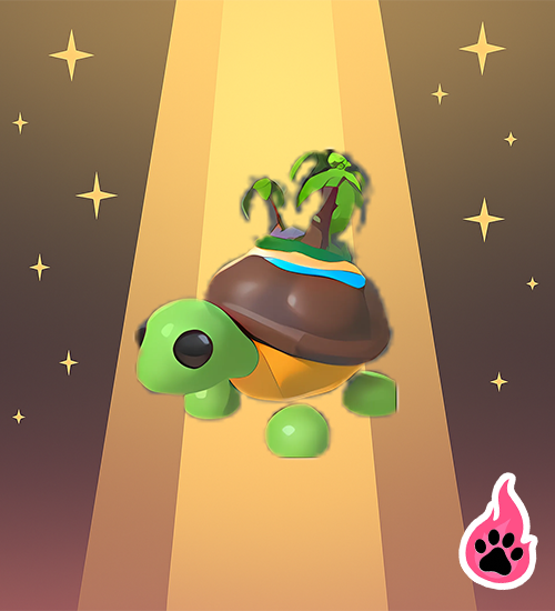Tortuga De La Isla