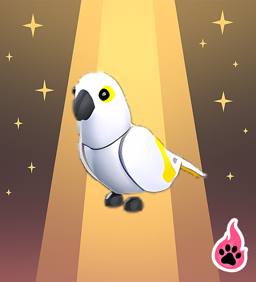 White Amazon